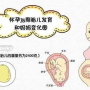 孕35周胎儿出生会怎样的呢？要怎么预防早产的,孕周35周胎儿发育标准数据