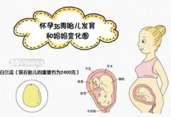 孕35周胎儿出生会怎样的呢？要怎么预防早产的,孕周35周胎儿发育标准数据