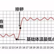 怀孕期间体温变化规律（怀孕期间体温变化规律是什么）