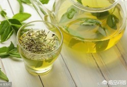 孕期能喝绿茶吗（尿酸高能喝绿茶吗）