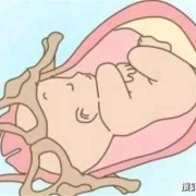 怎么感觉胎儿入盆（孩子入盆的症状）