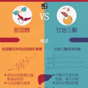 怀孕胆固醇高怎么办,孕期胆固醇和甘油三酯偏高原因