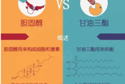 怀孕胆固醇高怎么办,孕期胆固醇和甘油三酯偏高原因