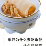 孕妇吃鱼胶对胎儿有什么好处（孕妇吃鱼胶的最佳时间）