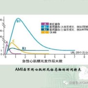 胎儿三项软指标异常（胎儿三项软指标异常孩子一定有问题吗）