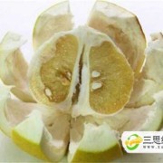 怀孕了可以吃柚子吗,孕期能不能吃柚子皮