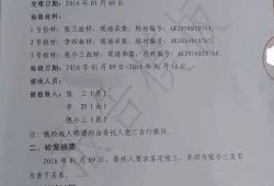 胎儿dna鉴定（怀孕初期查dna怎么查，怀孕几个月可以）