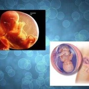 怀孕15周的症状,怀孕15周胎儿稳定了吗会胎停吗