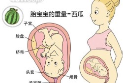 胎儿呈屈曲团抱位（胎儿呈屈曲团抱位什么意思）
