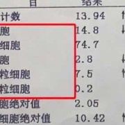 孕期血象高是怎么回事（孕期血象高是怎么回事儿）