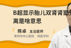 胎儿检查双肾窦稍分离，要紧吗,胎儿双侧肾窦分离应该注意什么