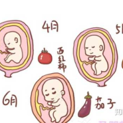 胎儿算数（儿童多大会算数）