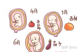 胎儿算数（儿童多大会算数）
