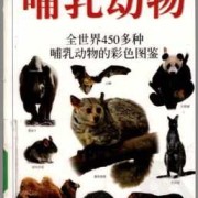 哺乳动物里怀孕期最长和最短的动物分别是什么,哺乳动物孕期最长的动物