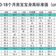 80天的宝宝手臂多长,胎儿胳膊长是男孩女孩