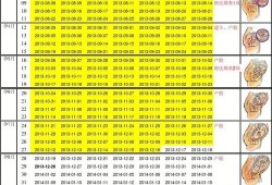孕期一共多少周（6周到8周是多少天）