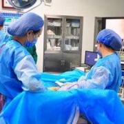 怀孕期间可以动手术吗（怀孕期间可以动手术吗）