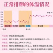 孕期体温高说明什么（孕期体温高说明什么原因）
