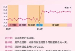 孕期体温高说明什么（孕期体温高说明什么原因）