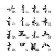 灿可以加什么偏旁,胎儿左侧隔疝要引产吗