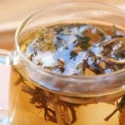 备孕期间能喝蒲公英吗（备孕期间能喝蒲公英吗）