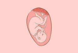 胎儿胎心在140以下这样算正常吗,胎儿胎心率低是什么原因