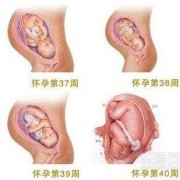 足月宝宝多少斤正常,胎儿足月标准是多少