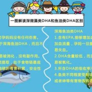 胎儿dha（dha的作用及功能）