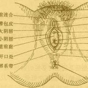 怀孕后阴道口有点痒怎么办,