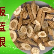 怀孕期间喉咙痛持续几天了，可以喝板蓝根吗,孕期可以吃板蓝根吗感冒了