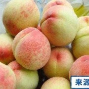 孕期吃桃子（孕妇能吃桃子吗，孕吃桃子的禁忌）