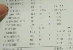 孕期粘液丝偏高的原因（孕妇尿检白细胞、细菌、鳞状上皮细胞偏高）