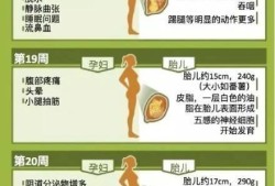漫长的孕期（漫长的孕期怎么度过）
