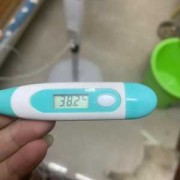 孕期反复发烧怎么回事（孕期反复发烧怎么回事儿）