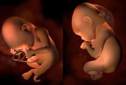 孕妇肚子饿影响胎儿吗（孕妇饿的时候胎动频繁是什么原因）