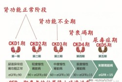 怀孕期间肾炎（怀孕期间肾炎对胎儿有影响吗?）