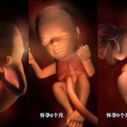 8个月宝宝肝火旺盛,八个月胎儿图片视频