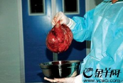 怀孕期间有囊肿（怀孕两个月右附件有个囊肿）