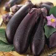 孕妇可以吃茄子不,孕妇吃茄子对胎儿好吗有影响吗