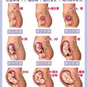 怀孕期多久（怀孕期多久生孩子）
