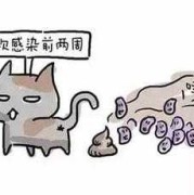 孕期感染弓形虫有什么症状（孕期感染弓形虫有什么症状Igg）