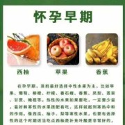 孕妇一天吃几样水果好？怀孕中期适合孕妇吃的水果有哪些,怀孕期间可以吃什么水果 蔬菜