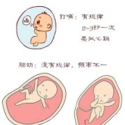 胎儿打嗝和胎动的区别（肚子里的宝宝会打嗝吗）