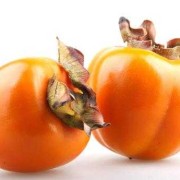 哺乳期有什么菜不能吃的？哺乳期能吃油菜吗,怀孕期间不能吃什么菜和水果
