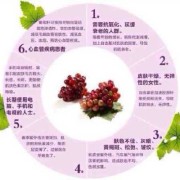 花青素对胎儿的好处（花青素对胎儿的好处和坏处）