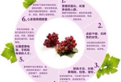 花青素对胎儿的好处（花青素对胎儿的好处和坏处）