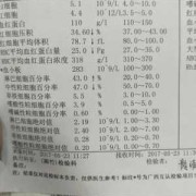 怀孕了什么情况需要去检查地中海贫血,孕期地贫检查最佳时期