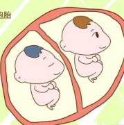 一胎儿子（一胎和一孩的区别）