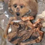 古尸产下活婴是怎么回事，那孩子真的活了吗,胎儿遗体,婴儿遗体如何处置