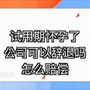 孕期试用期（孕期试用期可以辞退吗）